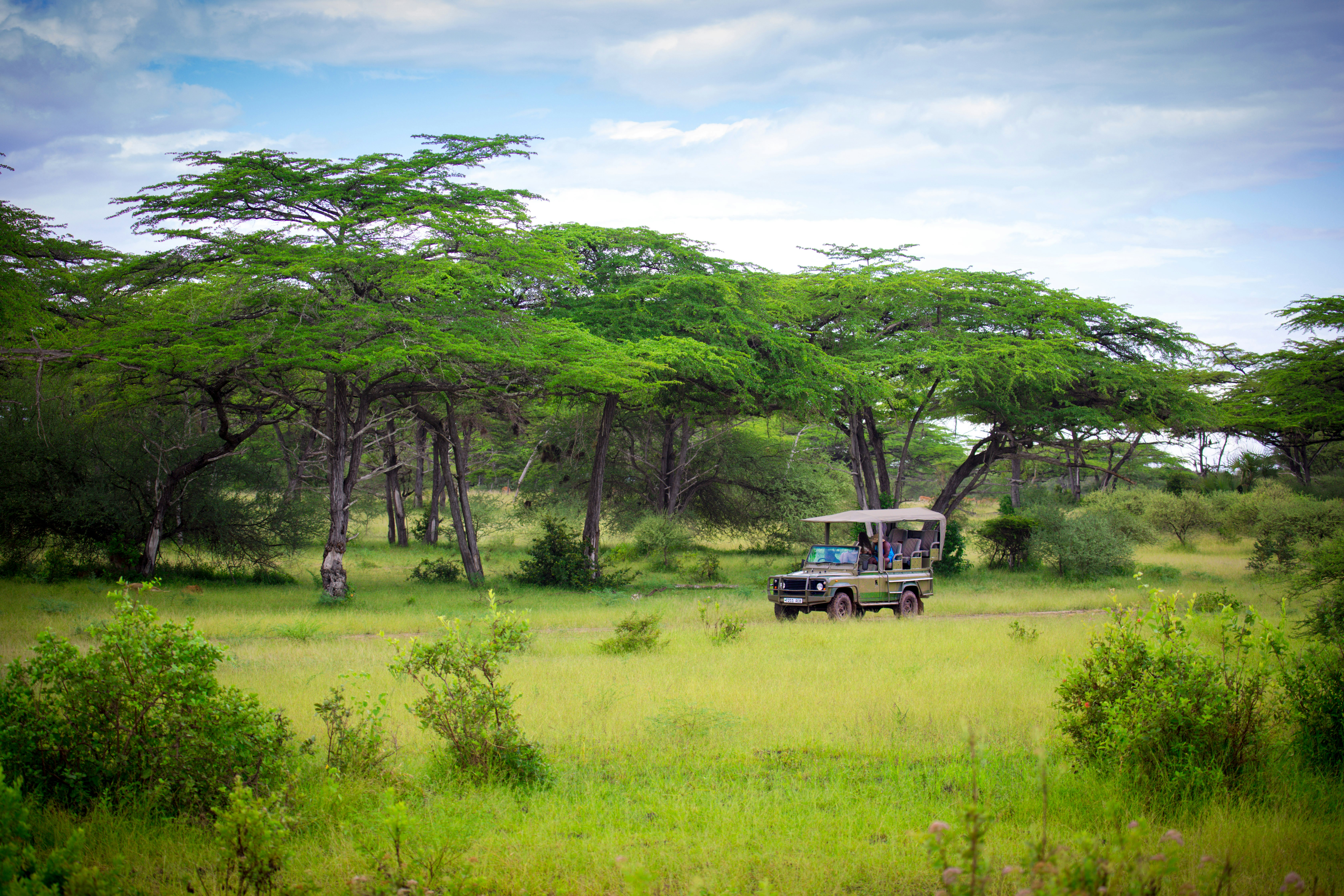 Samburu Special Five Safari